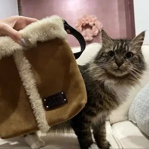UGG Australia Crossbody Bag